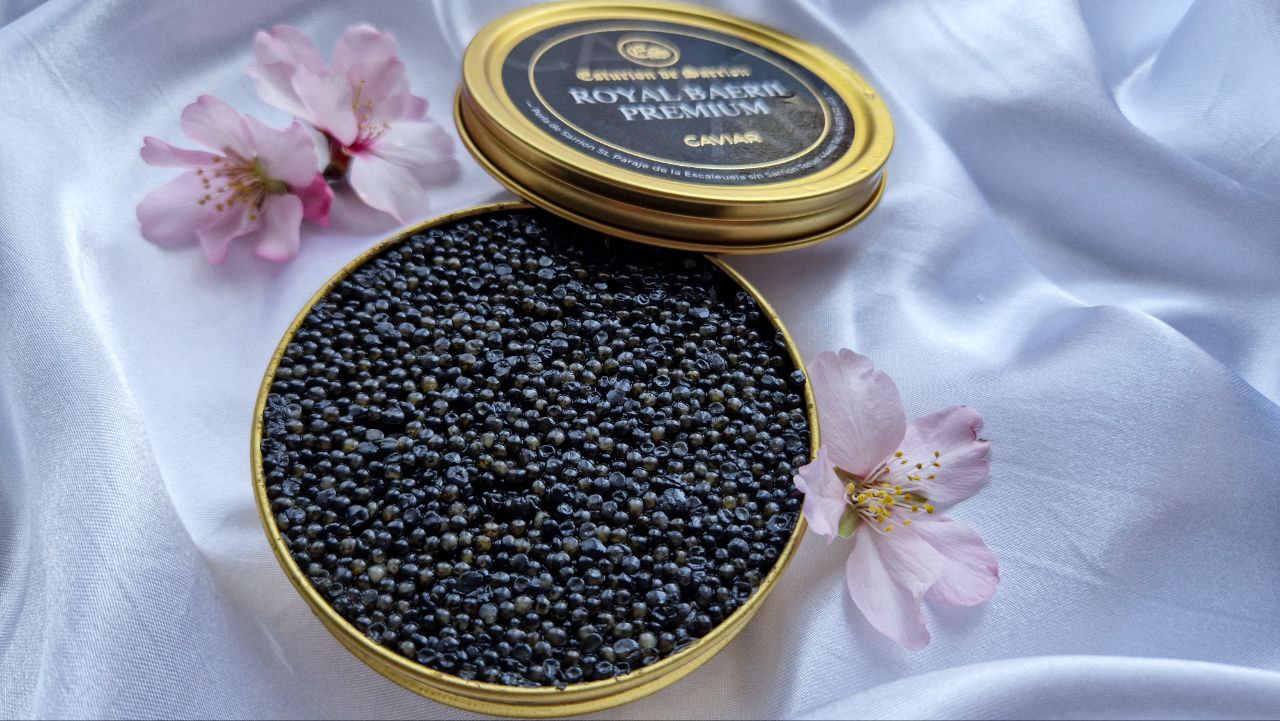 BLACK CAVIAR PREMIUM