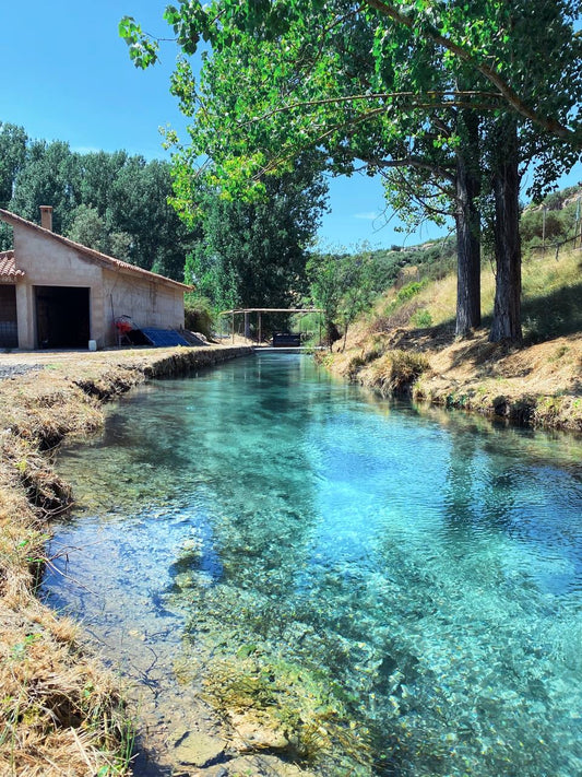 The Harmony of Nature and Craftsmanship: Esturion de Sarrion Farm